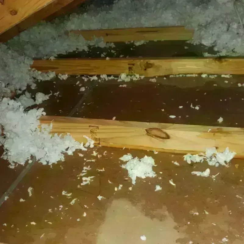 Attic Water Damage in Hope Valley, RI