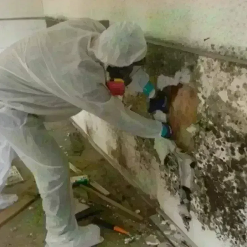 Mold Remediation and Removal in Hope Valley, RI